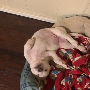 Meet your Posher, Jc